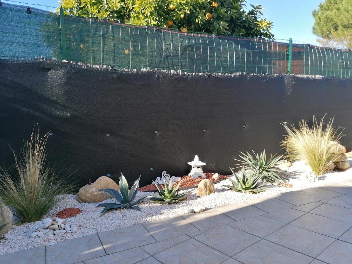 La Picholine Bed and Breakfast Sorède Εξωτερικό φωτογραφία