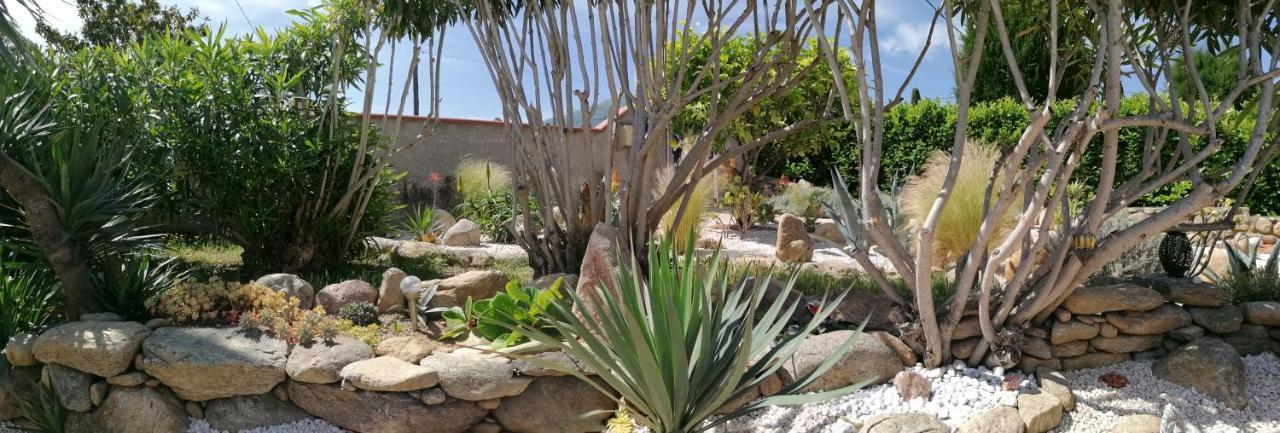 La Picholine Bed and Breakfast Sorède Εξωτερικό φωτογραφία